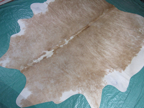 Beige Brindle Cowhide Rug (white belly and spine) Size: 7x6 feet M-1213