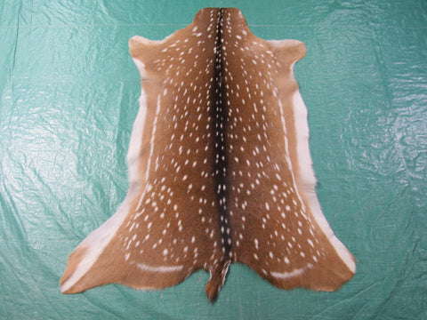 Top Grade Axis Deer Skin - Size: 45" x 36" Axis-683