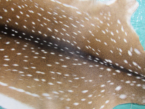 Top Grade Axis Deer Skin - Size: 45" x 36" Axis-683