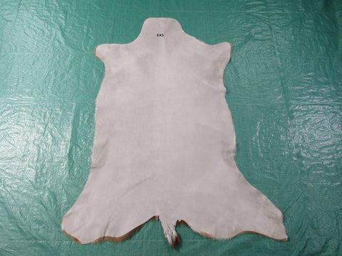 Top Grade Axis Deer Skin - Size: 45" x 36" Axis-683