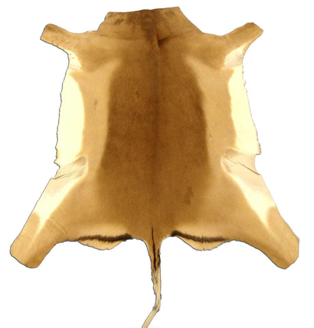 African Impala Antelope Hide Skin buckskin similar to cowhide rug or goat skin