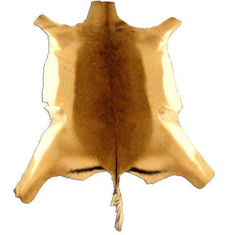 African Impala Antelope Hide Skin buckskin similar to cowhide rug or goat skin