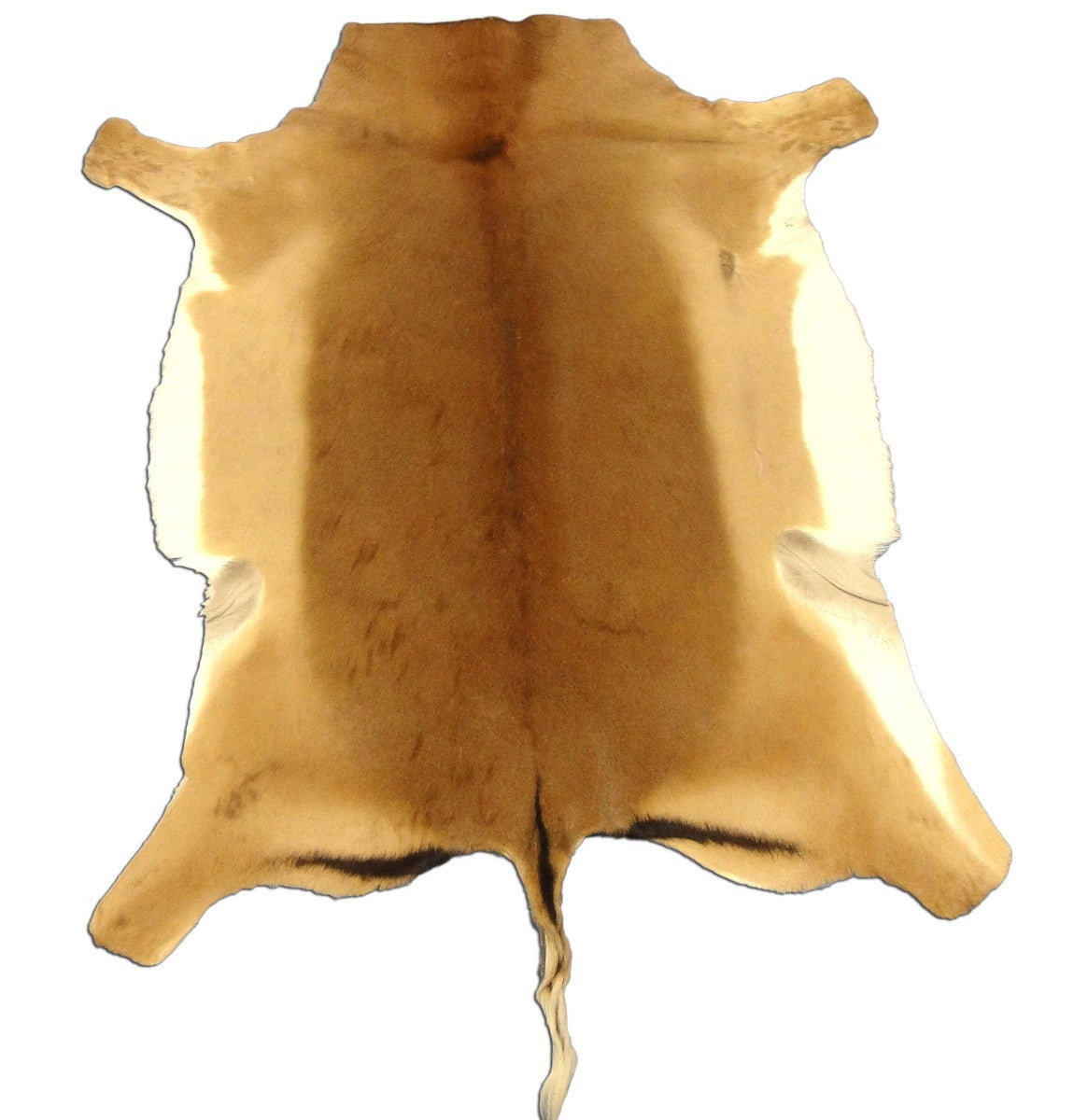 Impala Animal Rug Impala Skin Rug – Cowhides USA