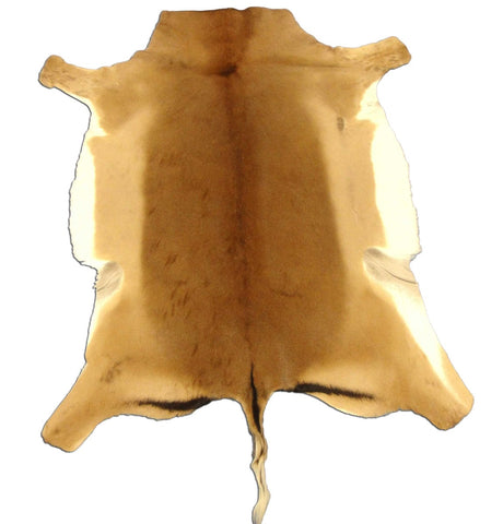 African Impala Antelope Hide Skin buckskin similar to cowhide rug or goat skin