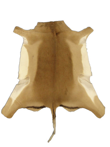 African Impala Antelope Hide Skin buckskin similar to cowhide rug or goat skin