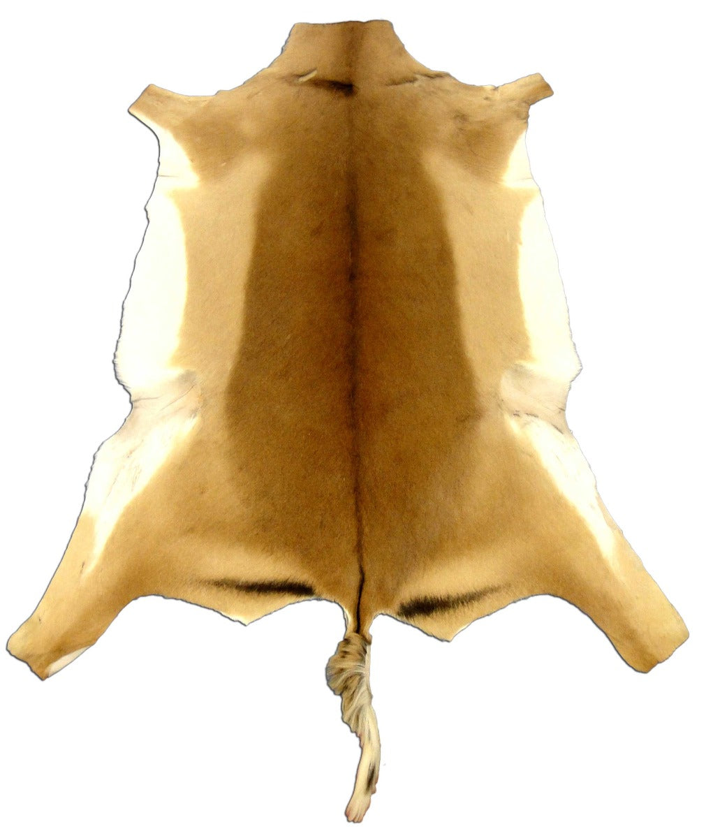 Impala Collection Rug Impala Skin Rug – Cowhides USA