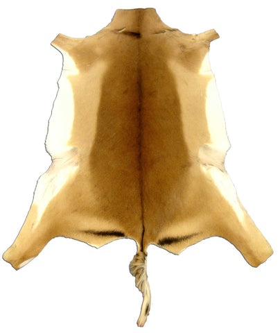 African Impala Antelope Hide Skin buckskin similar to cowhide rug or goat skin