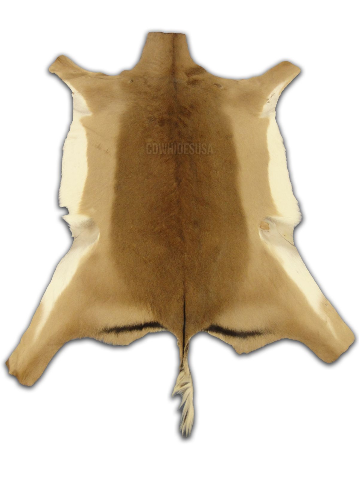 African Impala Antelope Hide Skin buckskin similar to cowhide rug or goat skin