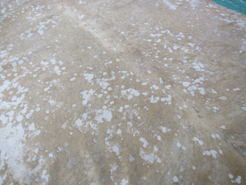 Beige Acid Washed Cowhide Rug Size: 7' X 6' Grey/Beige Cowhide Rug K-172