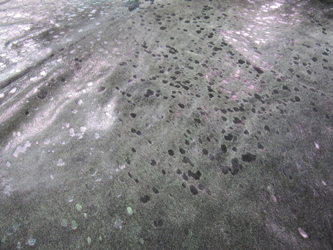 Pewter Cowhide Rug Size: 8 1/4' X 6 1/4' Grey/Silver Acid Washed Cowhide Rug K-182