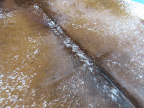 Speckled Longhorn Cowhide Rug Size: 8' X 6 3/4' Brown/White Cowhide Rug K-204