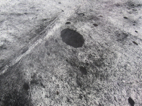 Speckled Cowhide Rug Size: HUGE 9' X 7' Black/White Cowhide Rug K-205