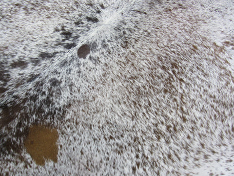 Salt & Pepper Cowhide Rug Size: 7 1/4' X 6 1/2' Brown/White Cowhide Rug K-207