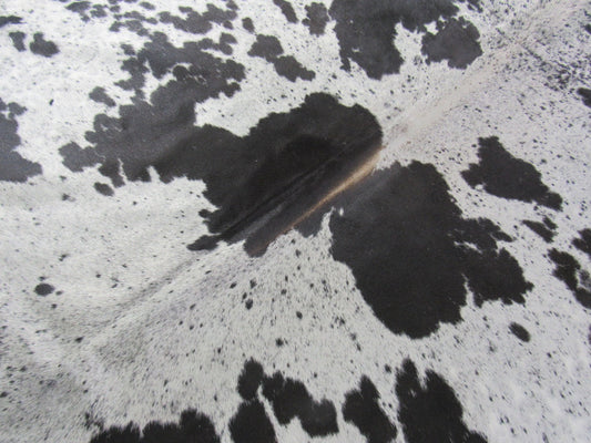 Speckled Cowhide Rug Size: 7 1/4' X 6 1/4' Black/White Cowhide Rug K-208