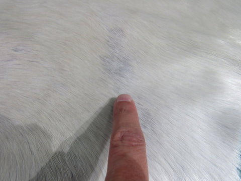 Cream Cowhide Rug Size: 7 1/4' X 6' Beige/White Cowhide Rug K-238
