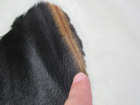 Spotted Cowhide Rug Size: 5 1/4' X 4 1/2' Black/White Cowhide Rug K-243
