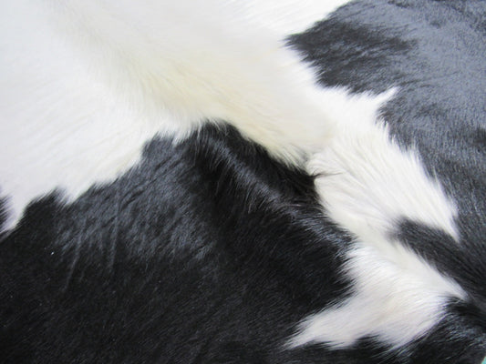 Spotted Cowhide Rug Size: 5 1/4' X 4 1/2' Black/White Cowhide Rug K-243