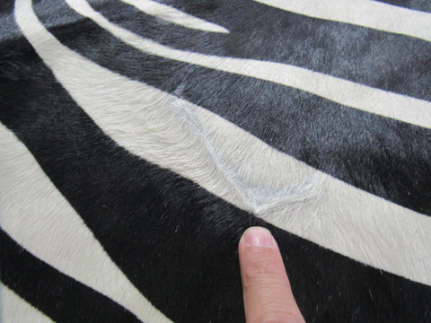 Zebra Print Cowhide Rug Size: 7' X 6' Black/Beige Upholstery Zebra Cowhide Rug K-244