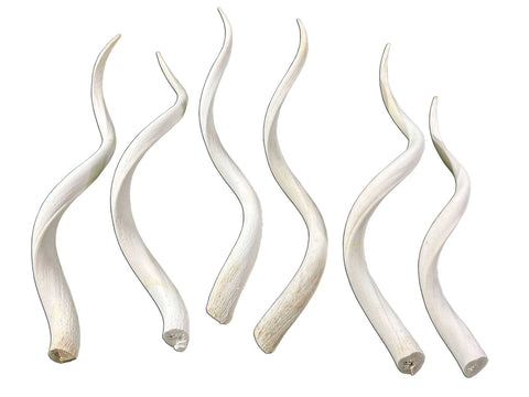 1 Kudu Horn Inner Bone, Deer Horns, Antelope Horn LARGE Size: (Approx 30" measured straight/40" measured around curls)