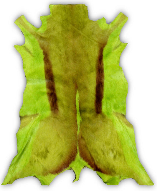 Lime Green Springbok Skin African Antelope Large