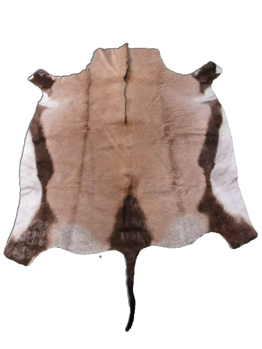 Gemsbok Skin (Nice Quality but small) Size: 52" X 49" M-1143