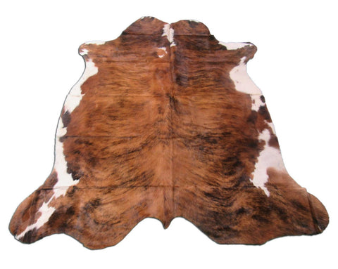 Tricolor Cowhide Rug (mostly brindle with white belly) Size: 5.5x5.5 feet M-1226