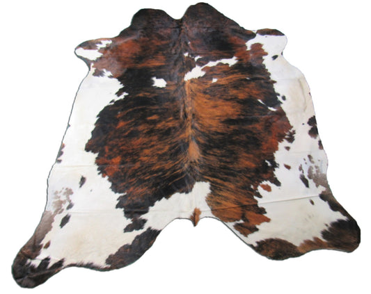 Gorgeous Huge Tricolor Cowhide Rug Size: 8x7 feet M-1339