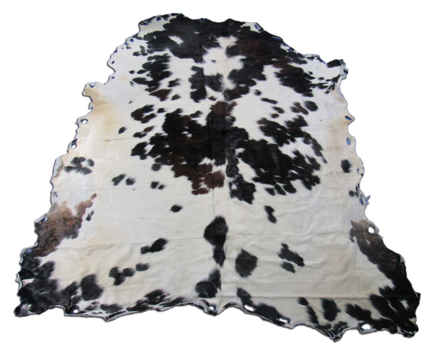 Untrimmed Tricolor Cowhide Rug Size: 8x6.7 feet M-1493