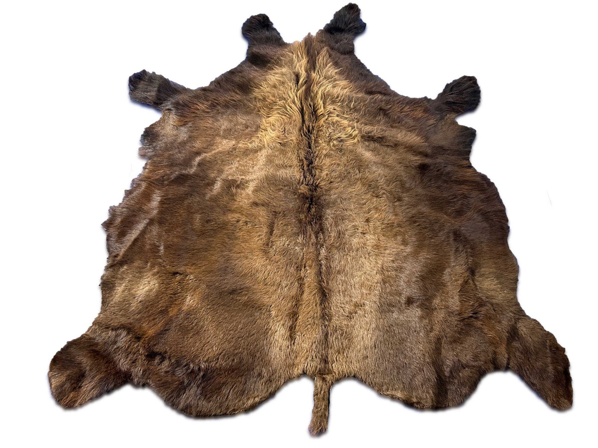 Bison Skin Rug Size: 8.1x7 feet M-1621