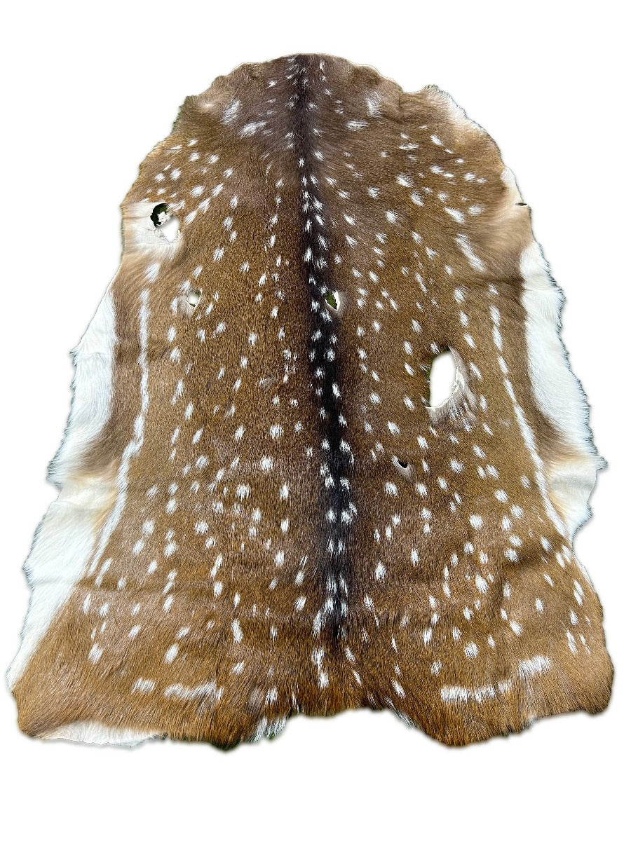 2nd Axis Deer Skin (several black holes) Size: 46x33" M-1631