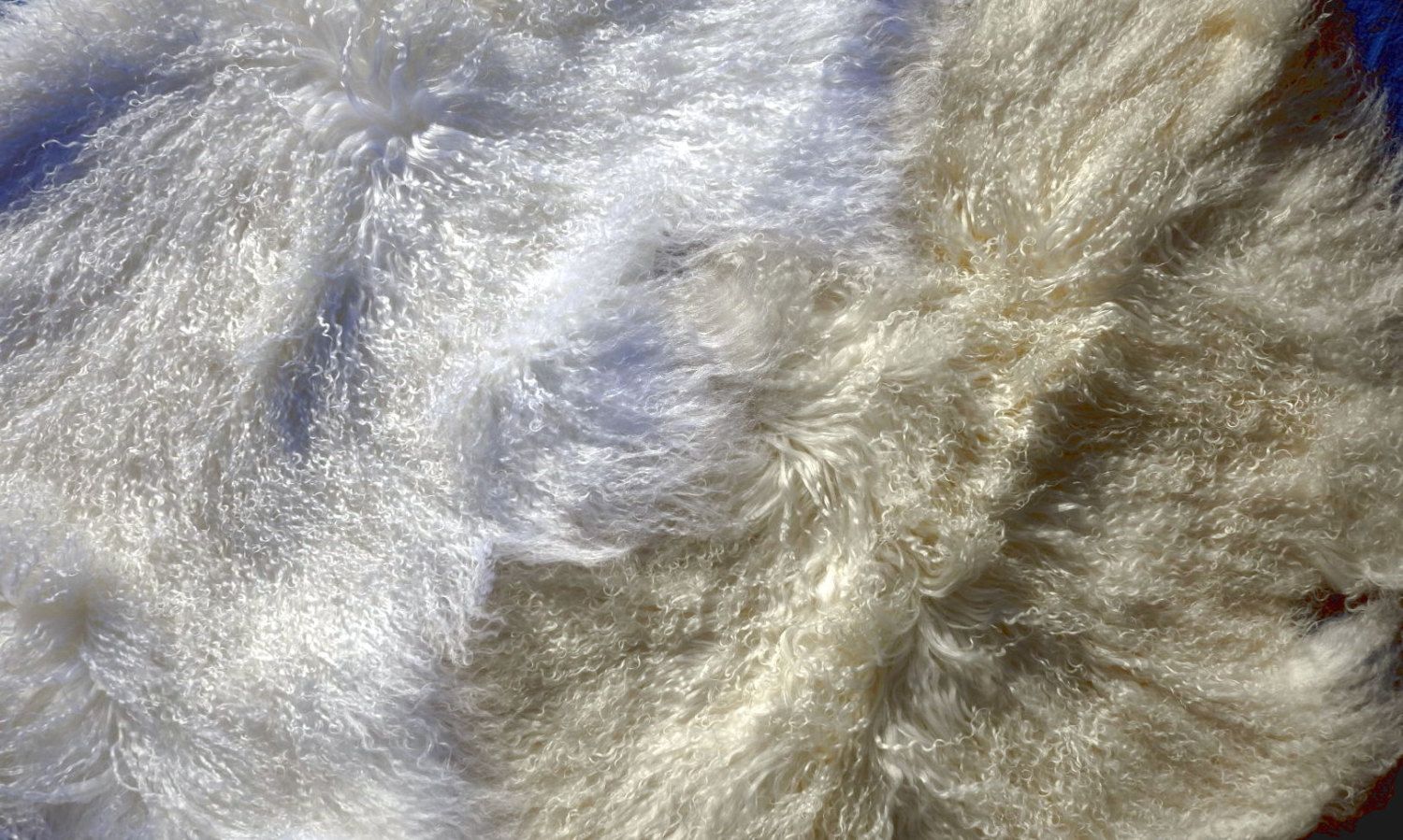 Natural White Mongolian Sheep Skin (Tibetan Lamb skin) Size ~ 38 X 22 inches