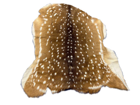 Axis Deer Skin (2 tiny holes) Size: 39x38" O-378