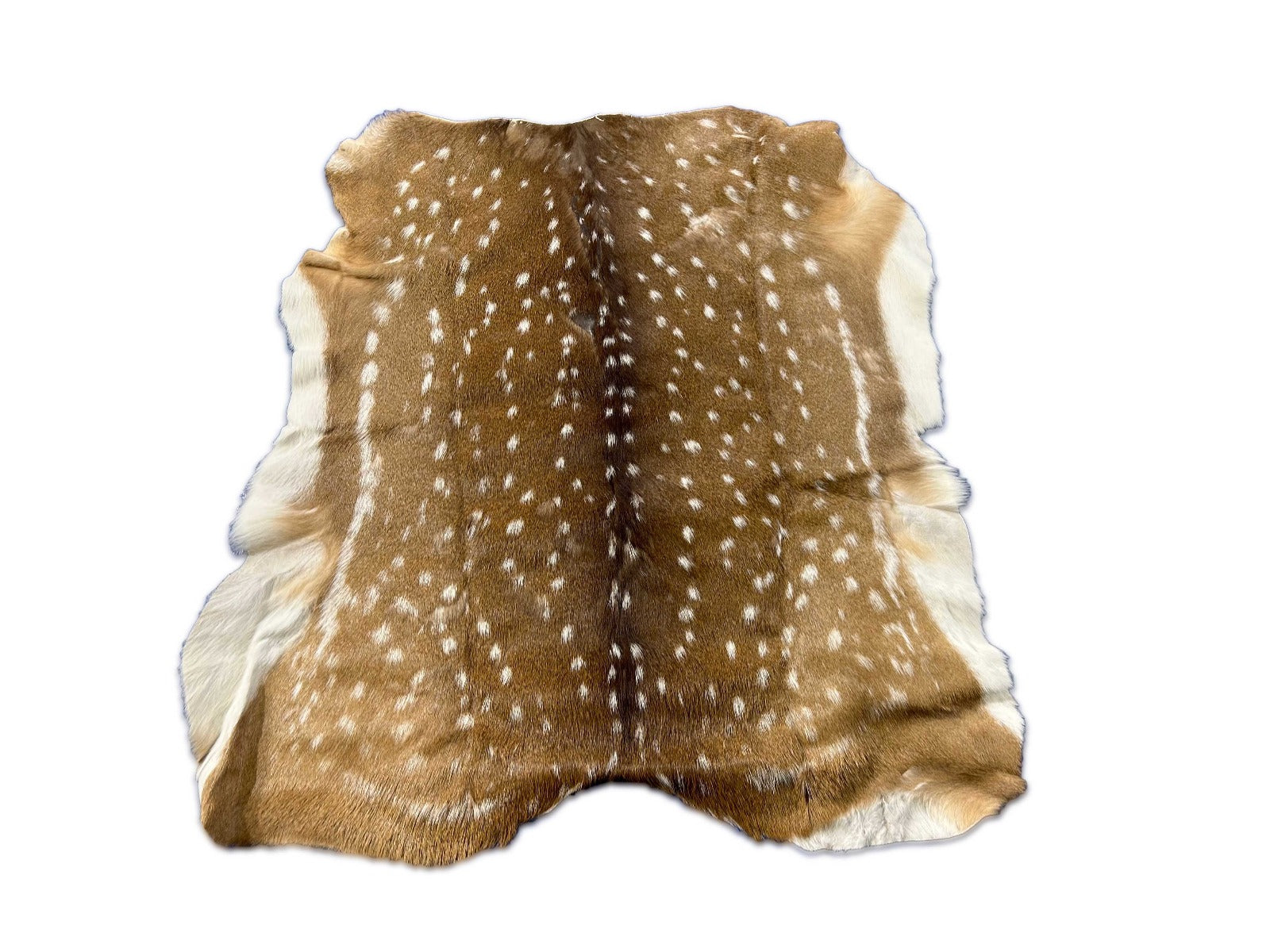 Axis Deer Skin (1 hole/ hard to see imperfections) Size: 41x38" O-379