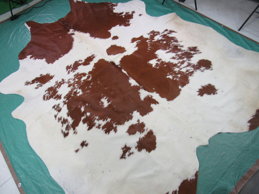 Brown & White Cowhide Rug Size: 8 1/4' X 7' Spotted Brown and White Cowhide Rug O-585