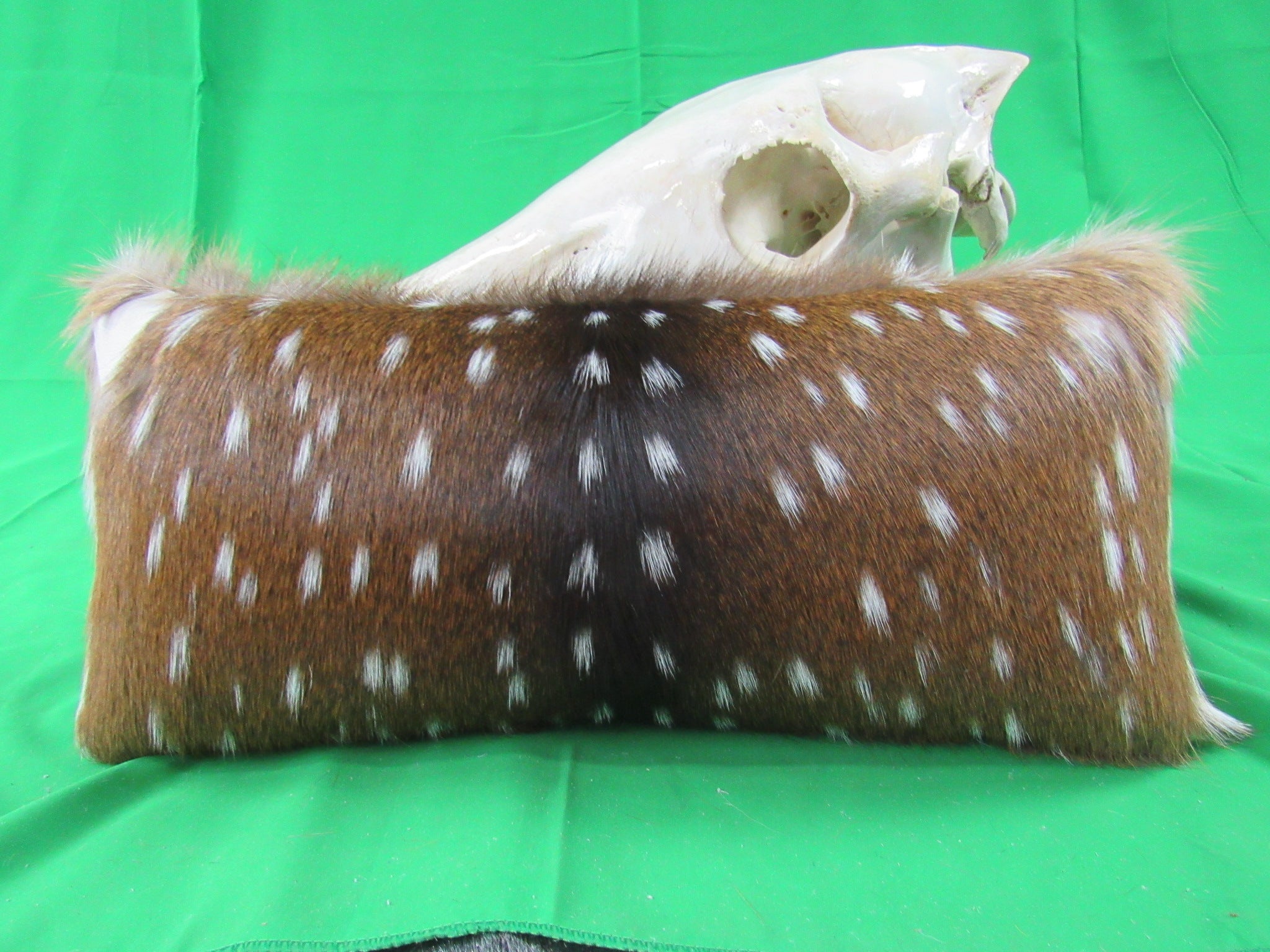 Axis Deer Pillow Size: 20" X 12" Axis Pillow-221