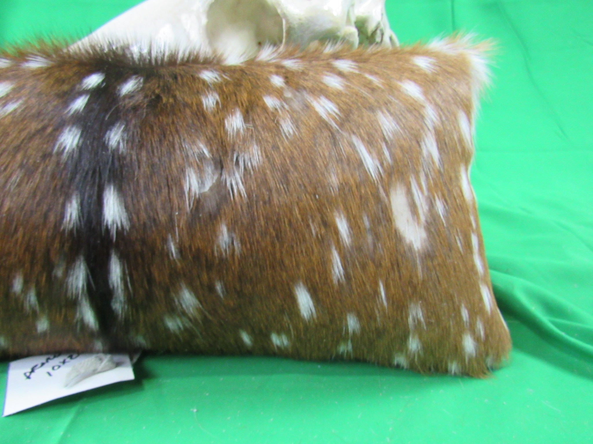Axis Deer Pillow Size: 20" X 10" Axis Pillow-225