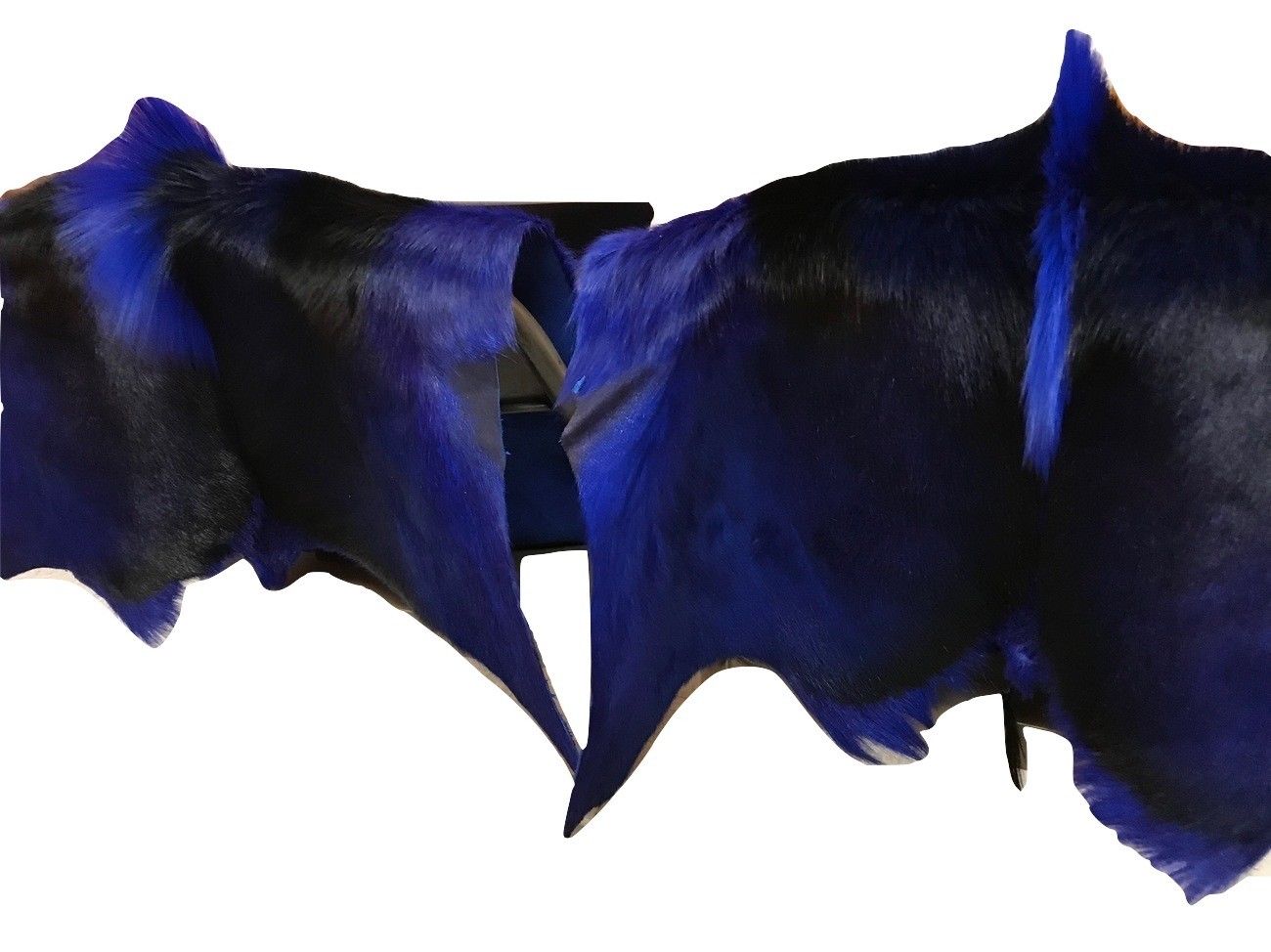 Springbuck Blue Dyed Blue Springbok Skin – Cowhides USA