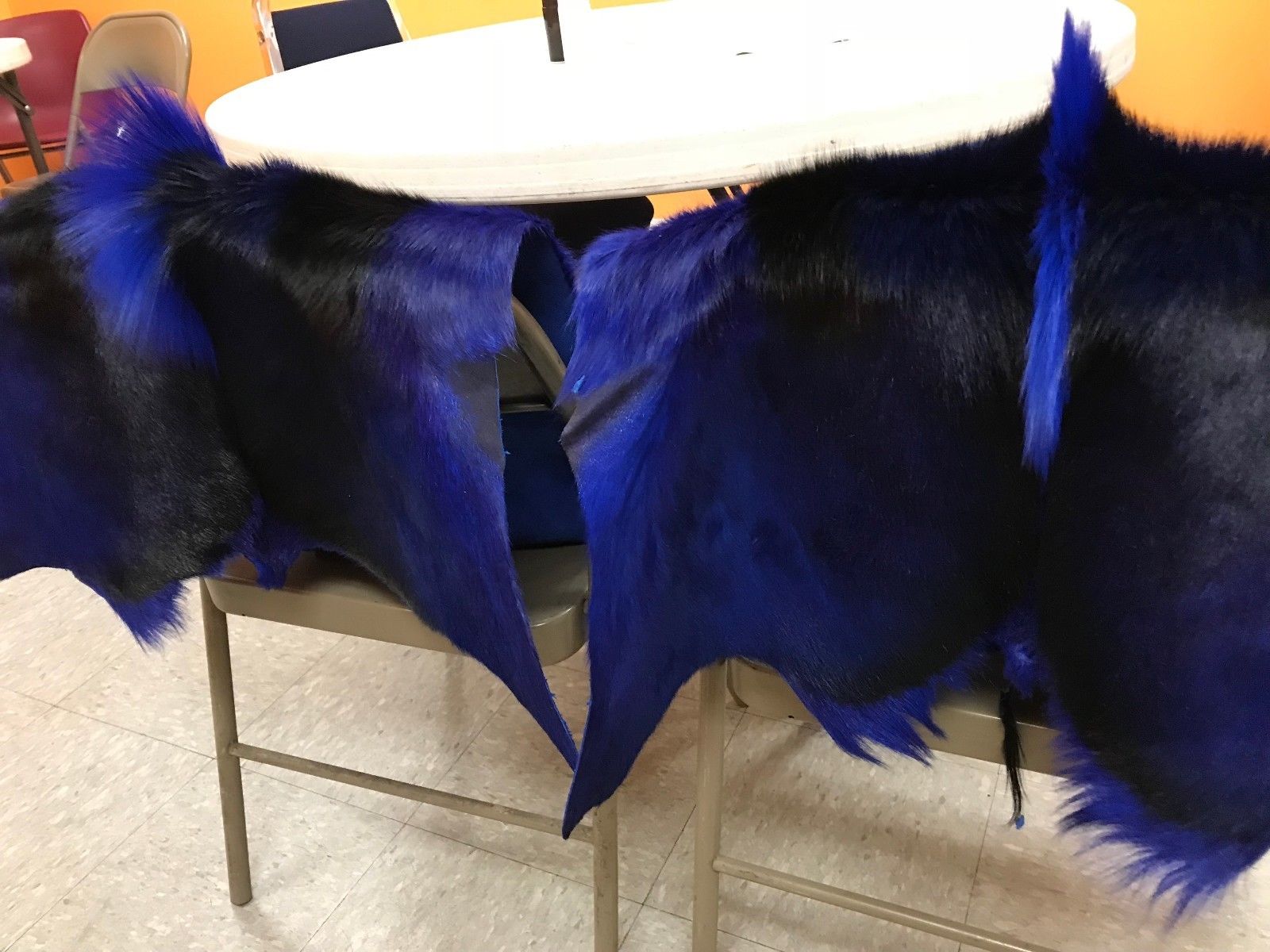 Dyed Royal Blue Springbok Skin Large, Dyed Dark Blue African springbok hide