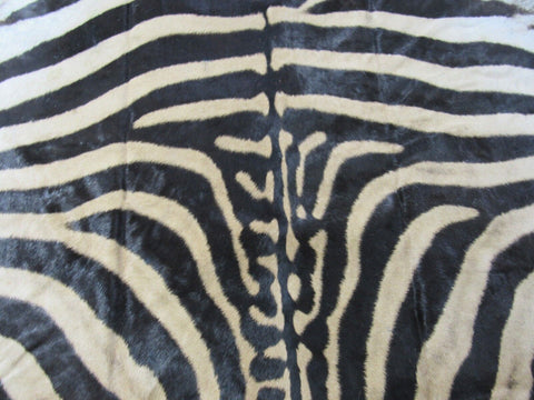 Real Zebra Skin Rug BIG Size: 7.5x6.5 feet NEW Burchell's Hide Zebra Rug #131