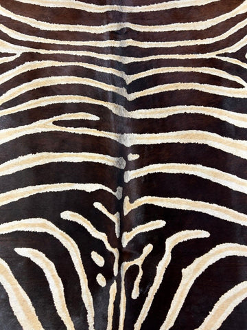 Genuine Zebra Print Cowhide Rug (inner stripes are light beige) 6.7x6 feet O-313