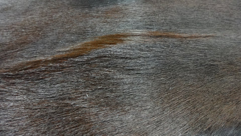 Dyed Sandalwood Springbok Skins Large from Africa Antelope Hide