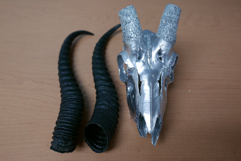 Real Springbok Skull Silver Spray Painted African Antelope Horns/Antelope Skull