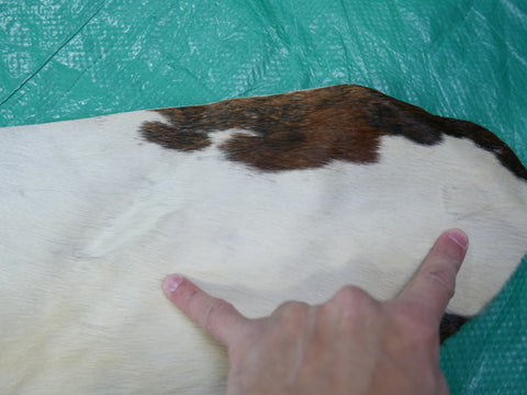 Tricolor Cowhide Rug Size: 6' X 5.5' Tricolor Cowhide Rug F-496