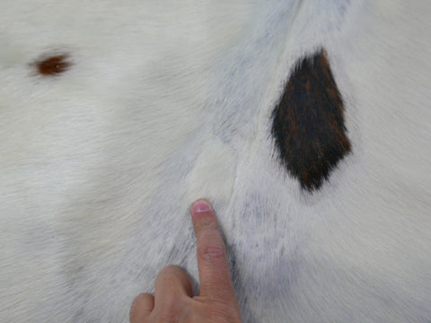 Tricolor Cowhide Rug Size: 6' X 5.5' Tricolor Cowhide Rug F-496