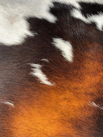 Tricolor Calf Skin Rug Size: 38x36 inches B-205