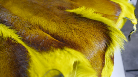 Dyed Yellow Springbok Skin African SPRINGBOK Skin African antelope