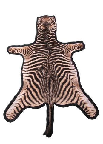 Real Zebra Skin Rug - Juvenile Size - BRAND NEW Burchell's Hide Zebra Rug - Size: 67"x42" #100