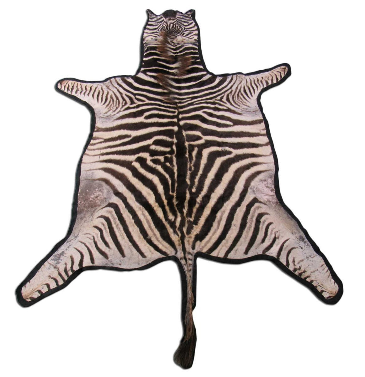 Real Zebra Skin