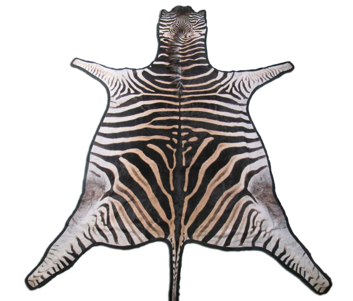 Felted Zebra Skin # 111 (Tail is 39", Only 1 scar but has a small fold on right hand side) Size: 8.2x7.2 feet