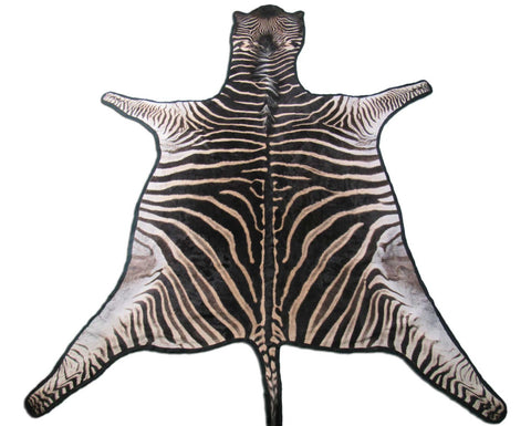 Felted Zebra Skin # 113 (beautiful and unique, tail is around 37", super nice quality) Size: 8x7 feet